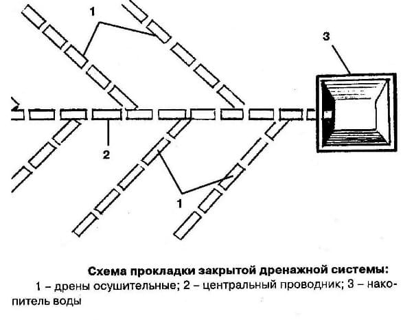 Схема естественной дренажной системы